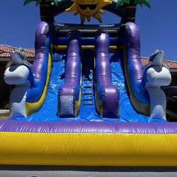 dolphin waterslide 