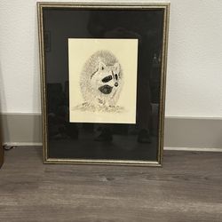 Framed Raccoon sketch