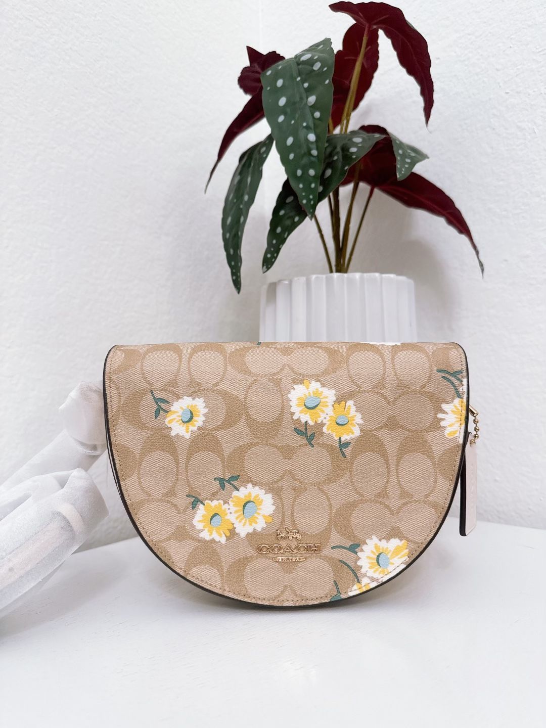 Coach Ellen Crossbody In Signature Canvas With Daisy Print