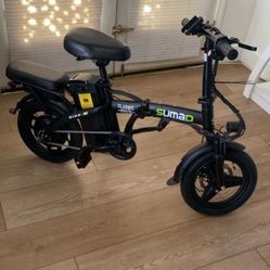 Electric Bike 