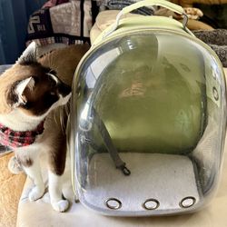 Cat Back Pack