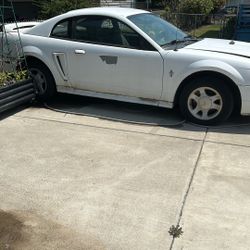 For Sale 