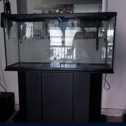 55 Gallon Fish Tank 