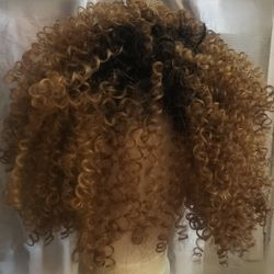 Halloween Wig Costume 