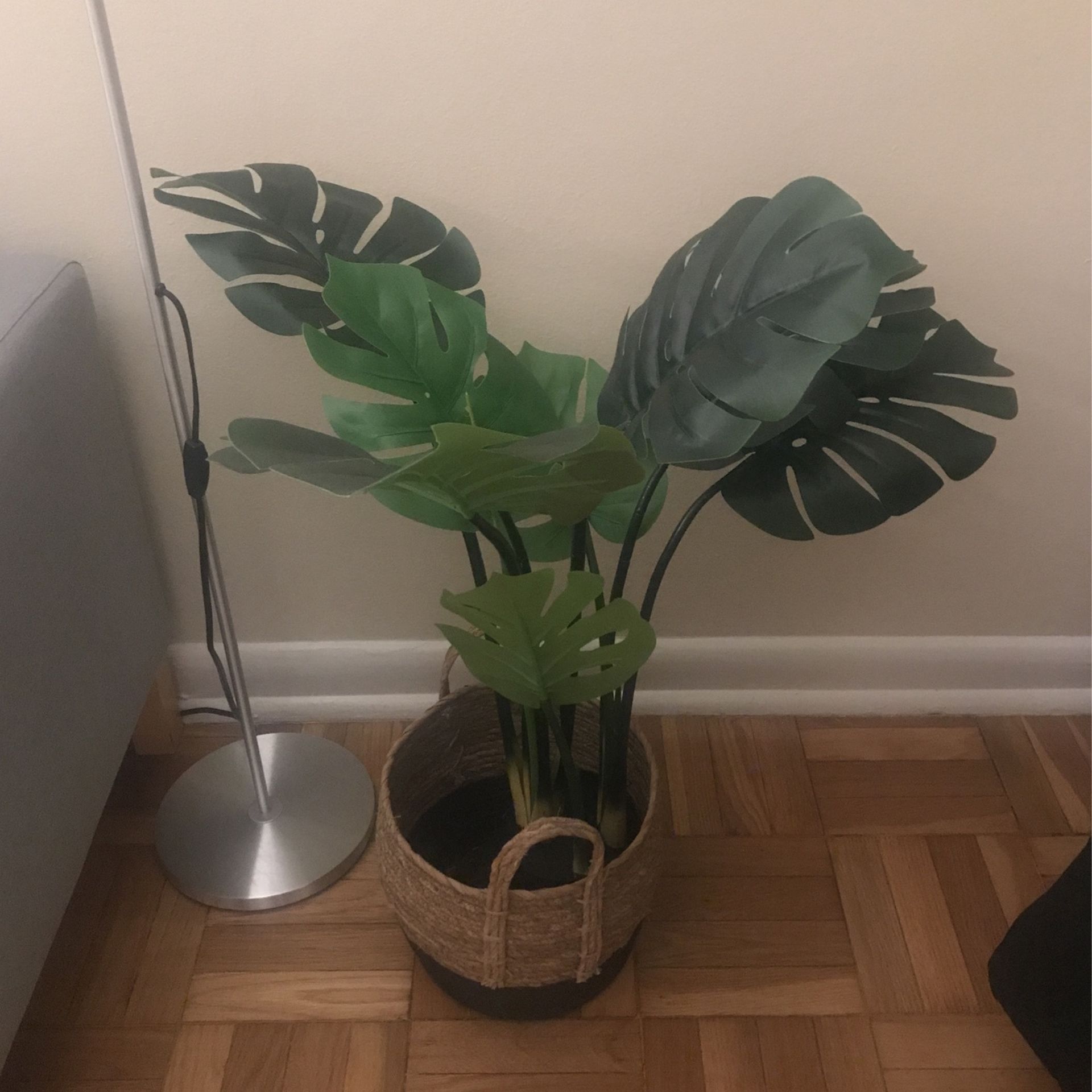 Fake Plant