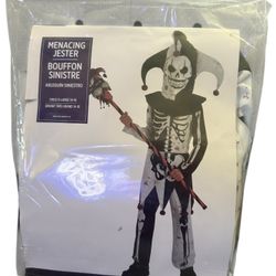 Menacing Jester Costume XL 14-16