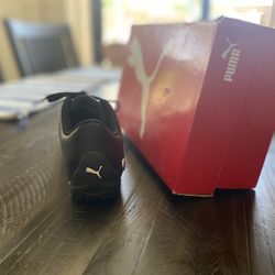 BMW MMS Drift Cat 5 Ultra II