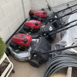 Honda Mowers