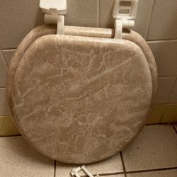 toilet seat