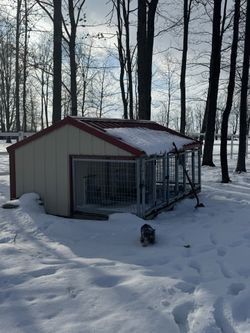 3 Door Dog Kennel