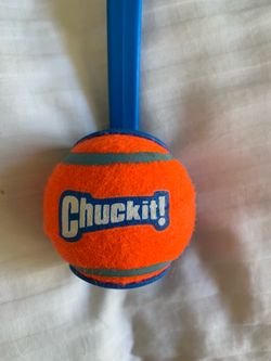 Dog toy