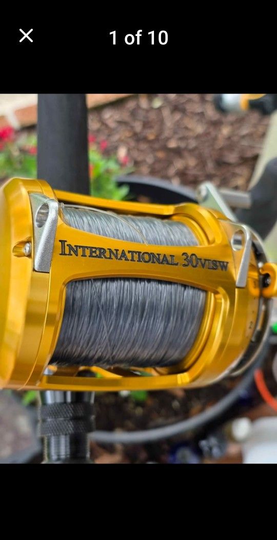 Penn International 30VISW Reel/New Lines/Custom Rod
