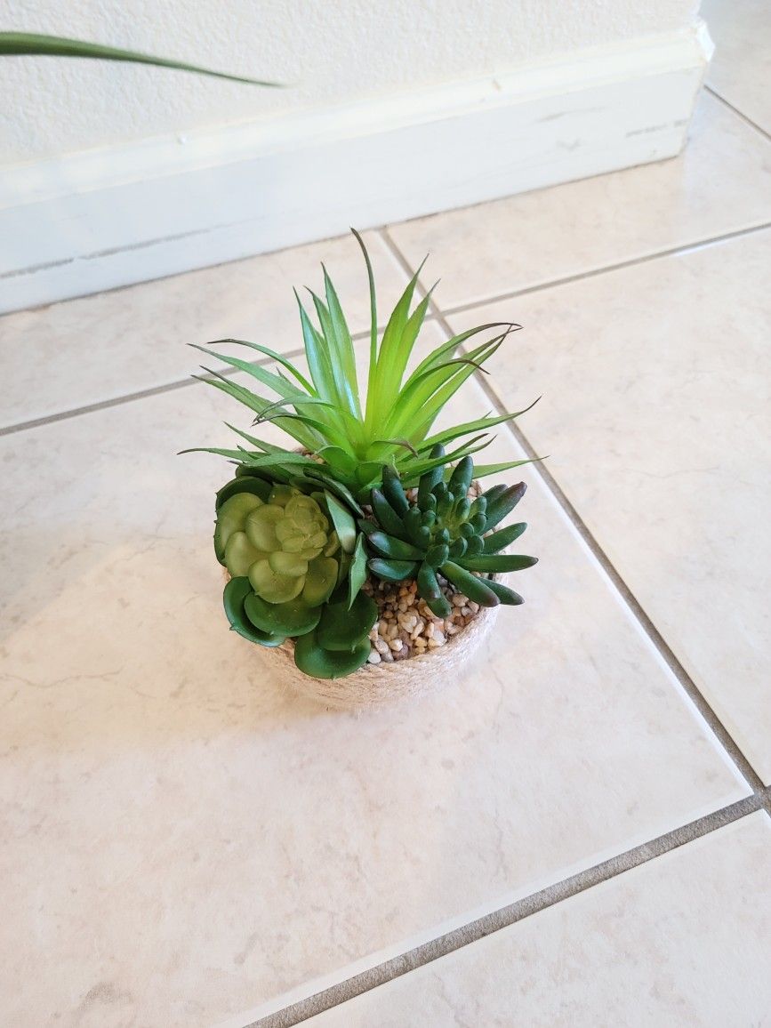 Fake Plants for Sale in Sacramento, CA OfferUp