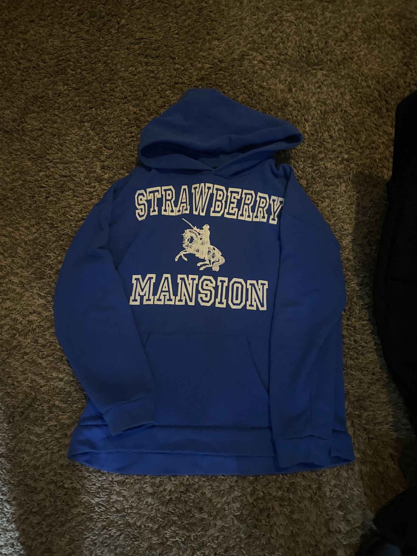 Strawberry Mansion Hoodie