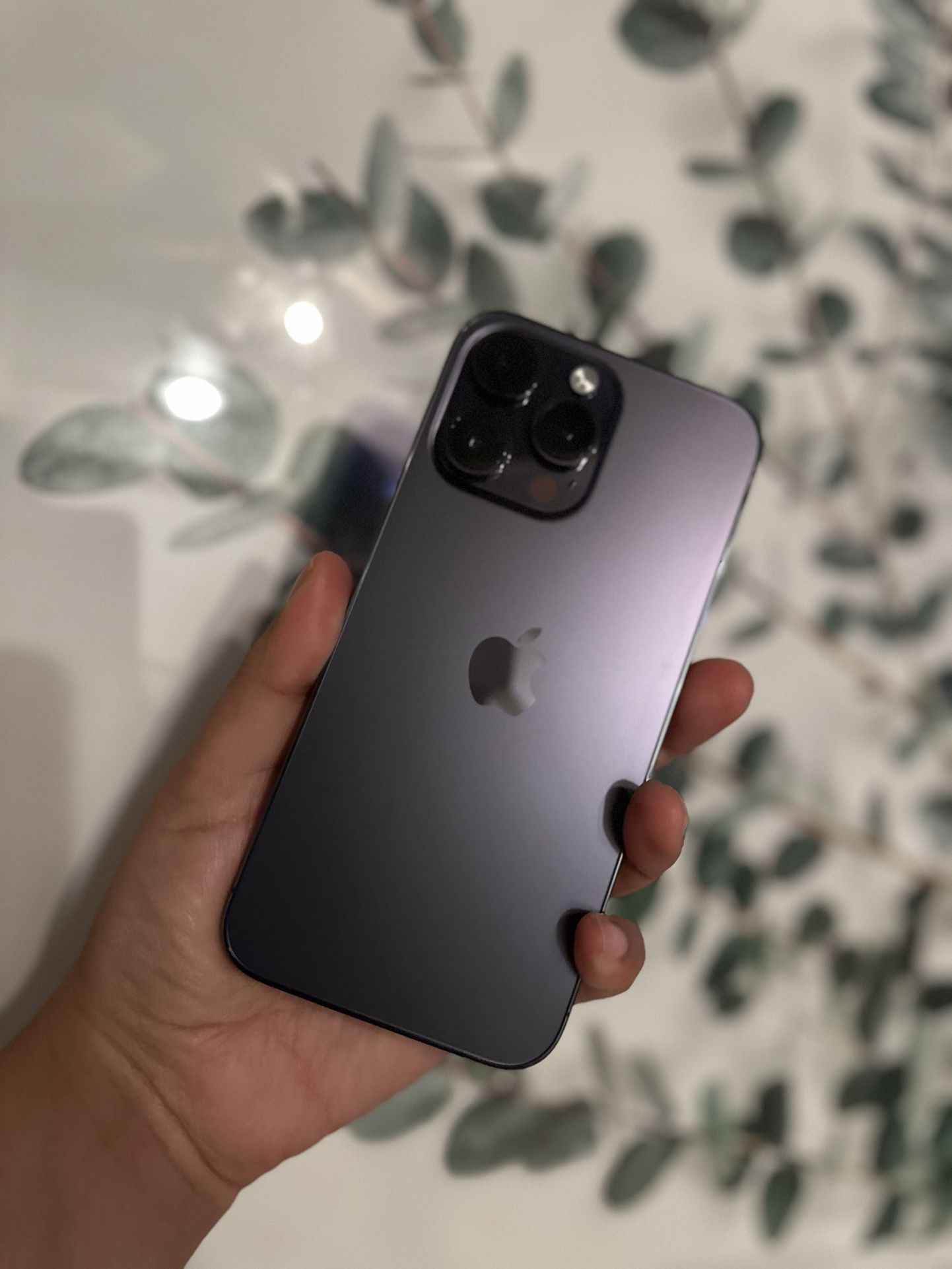 iPhone 14 Pro Max