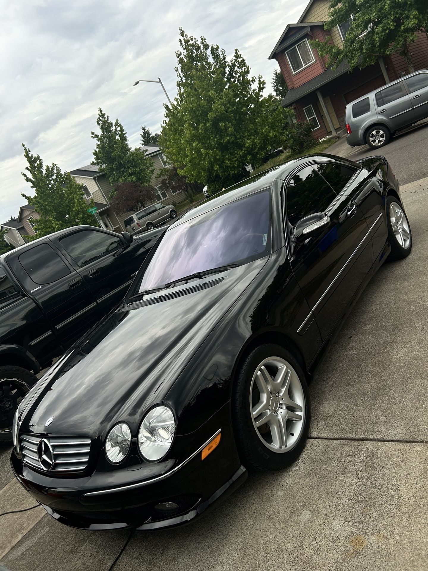 Paint Correction/ Detail