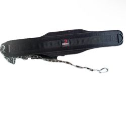 DMoose Fitness Dip Belt with Chain for Weightlifting, Pullups & Powerlifting 