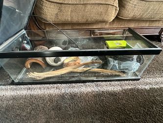 Reptile Tank