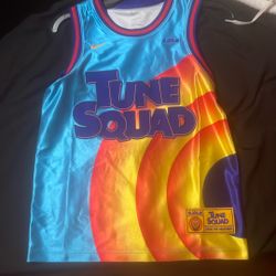 LeBron Tune Squad Jersey 