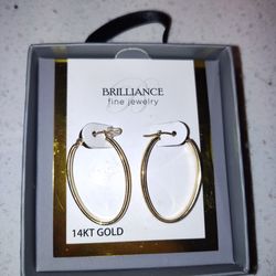 14k YG Earrings