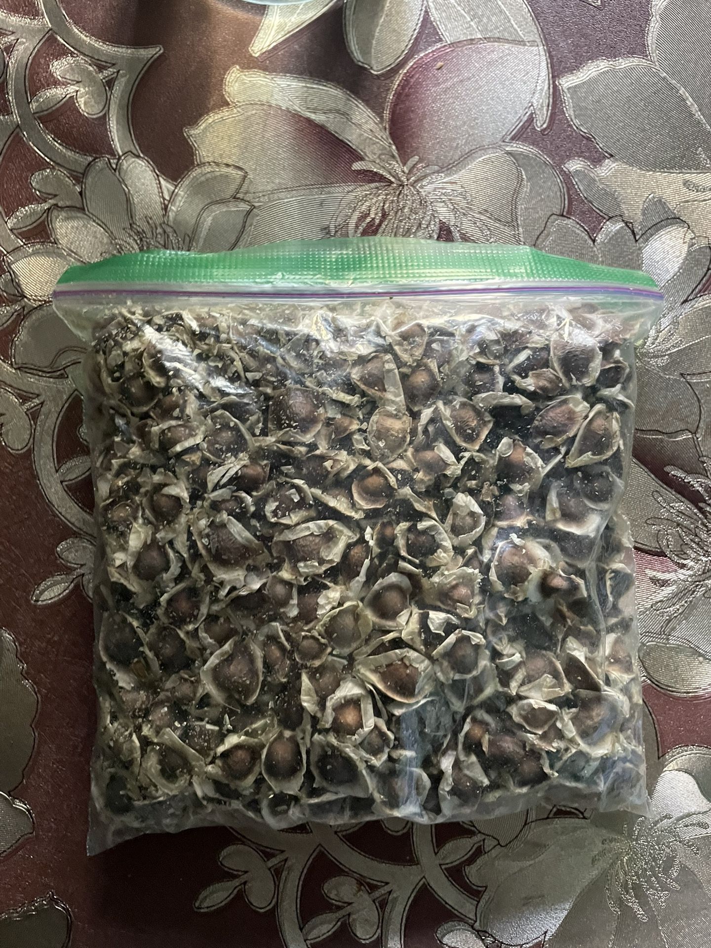 Moringa