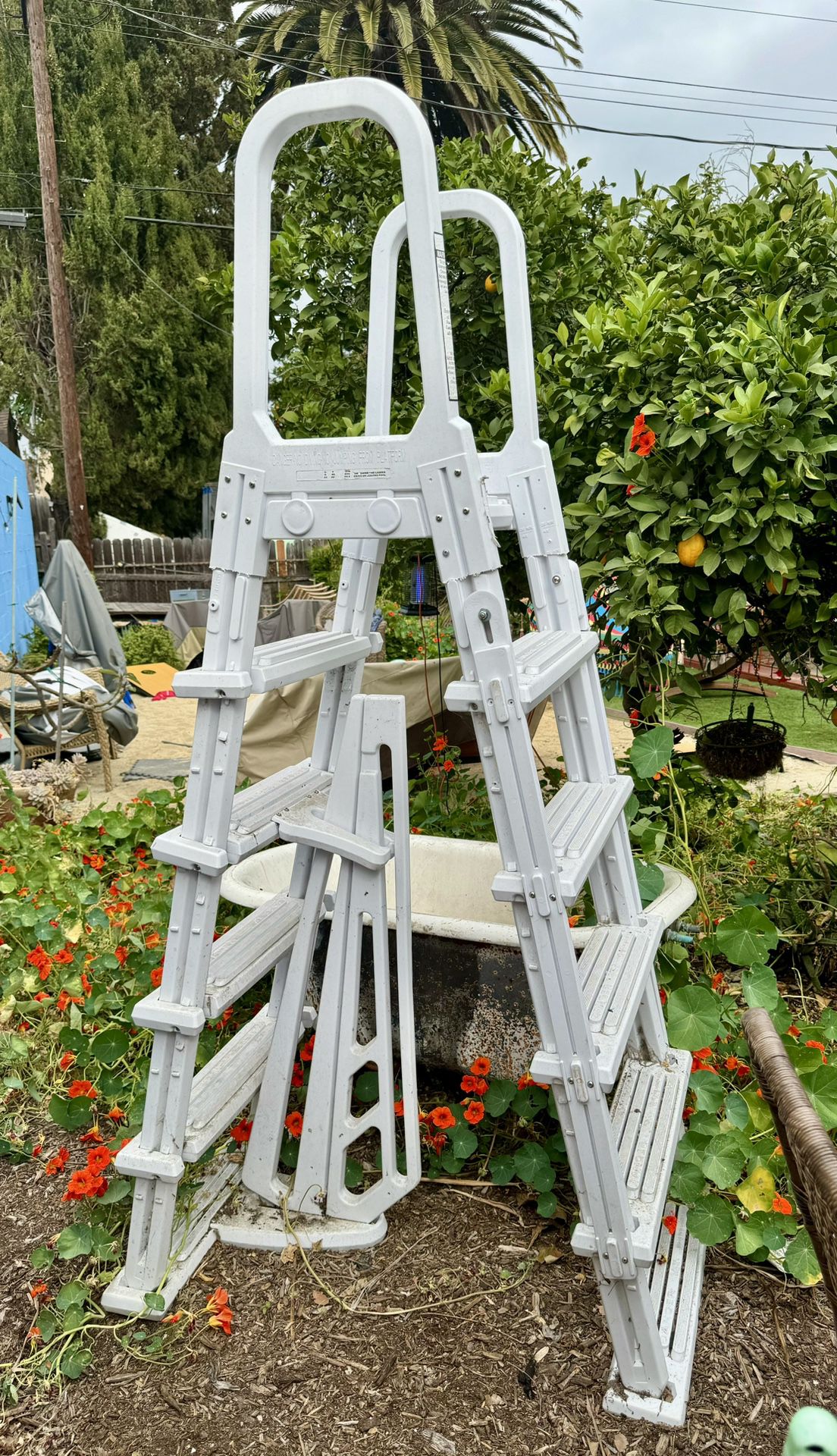 Heavy Duty Pool Ladder