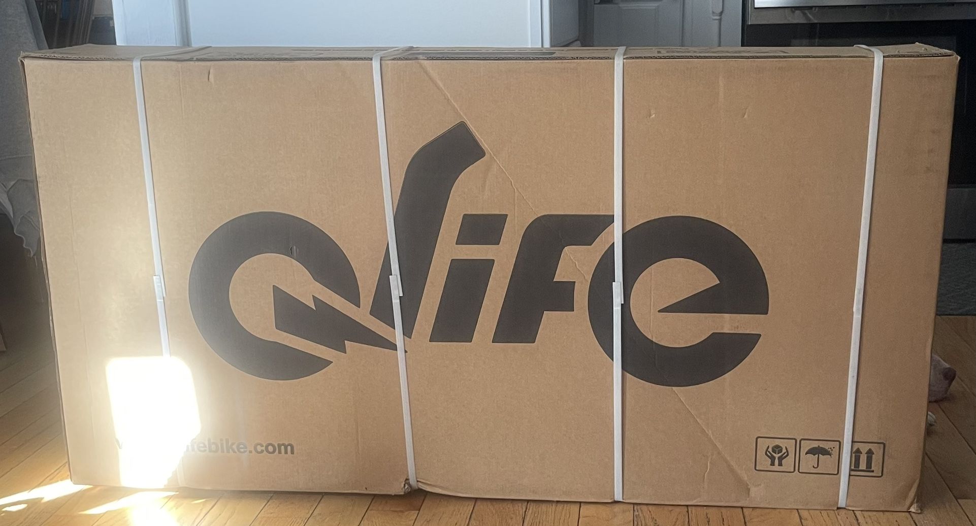Q-life Electric Bicycle 