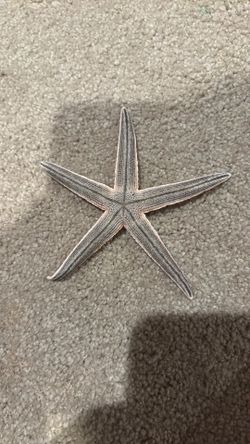 Starfish