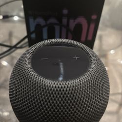 Apple Mini Home 