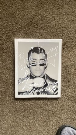 Bad bunny picture book