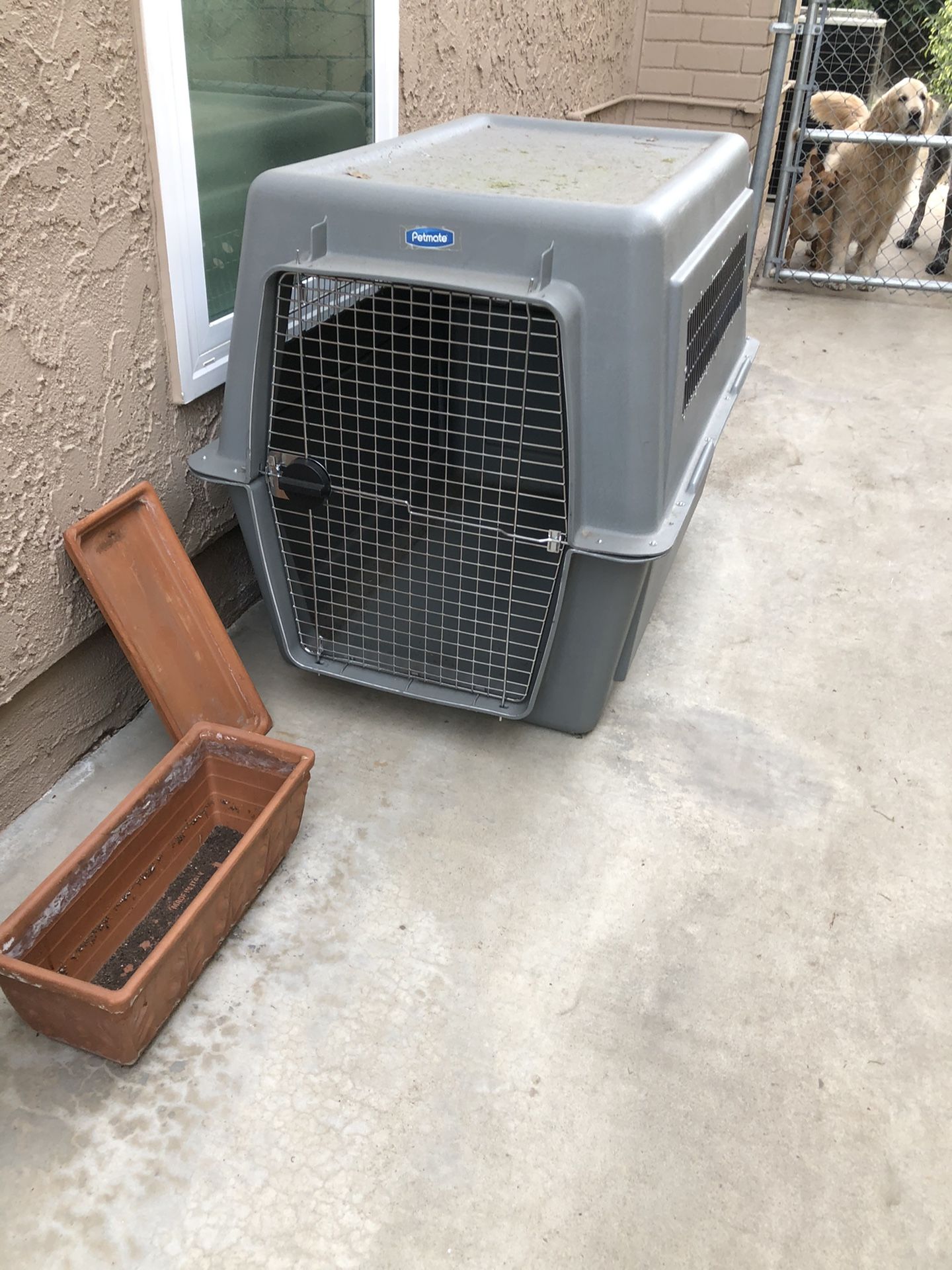 Xxxl Dog crate