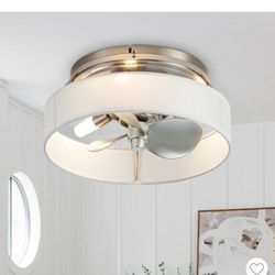 Modern Ceiling Fan With Light 