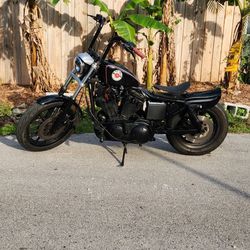 97 883 Iron Harley Davidson 