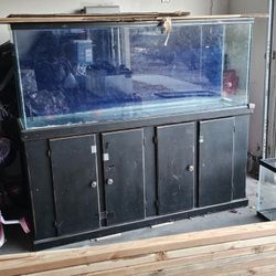 Aquarium Tank , Stand & Filter