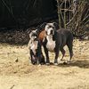 Chyna