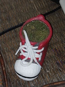 Adorable Shoe Planter