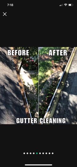 Gutter Clean 