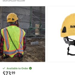 Dewalt Type 2 Hard Hat Safety Helmet 