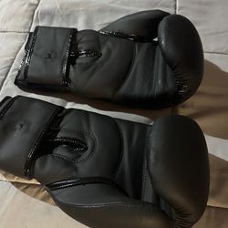 Boxing gloves 14oz black