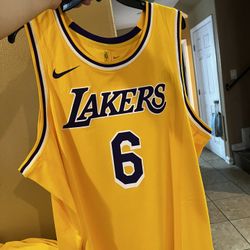 Lebron James #6 Lakers jersey