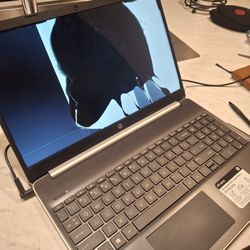 Hp Laptop GRAY Broken Screen 