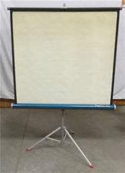 Vintage Radiant leader projector screen.