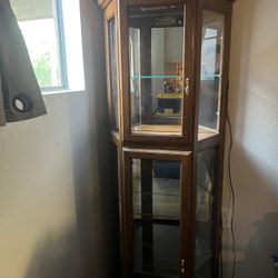 Curio Cabinet