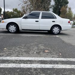 Corolla  