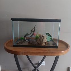 Aquarium Fish Tank With Accessories And Lid