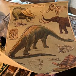 Dinosaur Poster