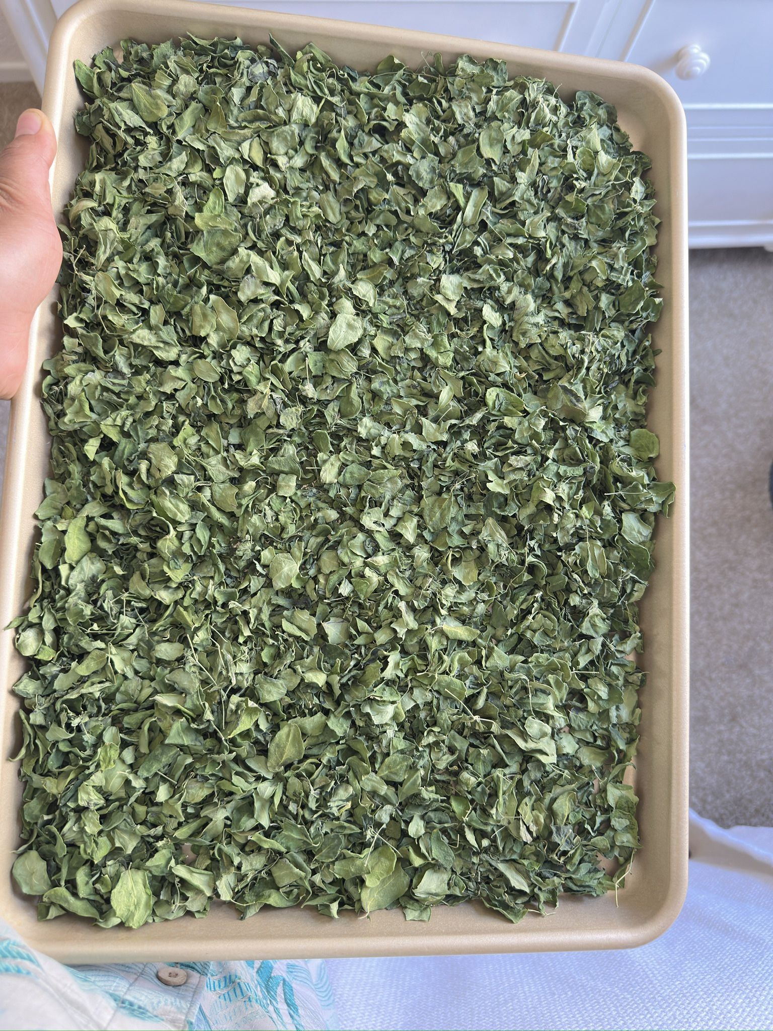 Moringa Dry Leaf 1lbs