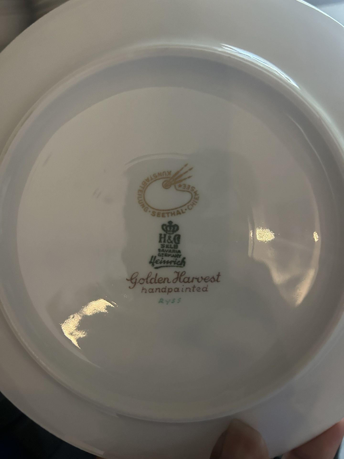 Dinnerware Antique H & C Selb Bavaria Germany Heinrich