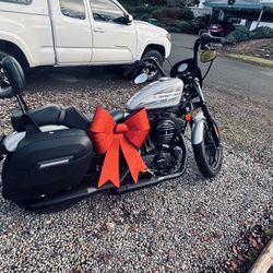 Harley Davidson Iron 1200 (2020)