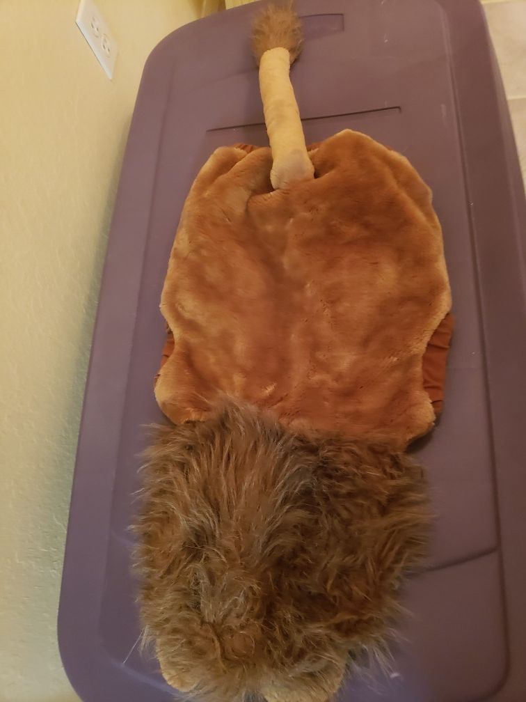 Lion Costume